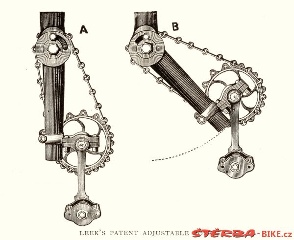 Kangaroo - Sturmey