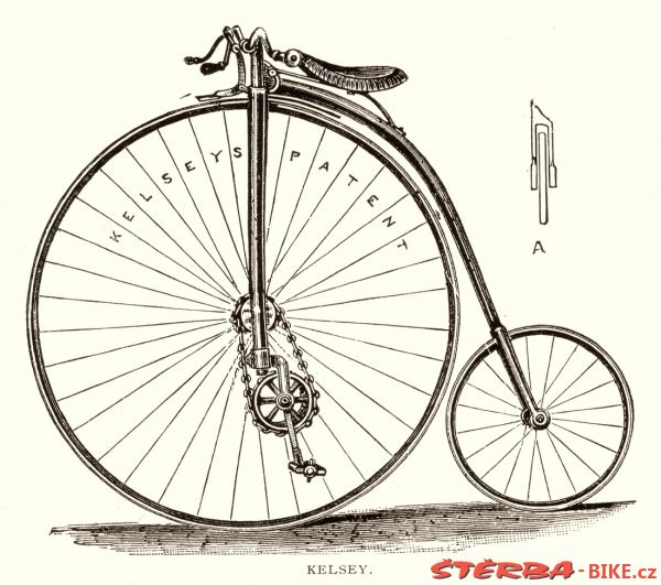 Kangaroo - Sturmey