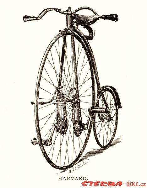 Kangaroo - Sturmey