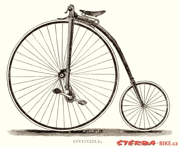 Kangaroo - Sturmey